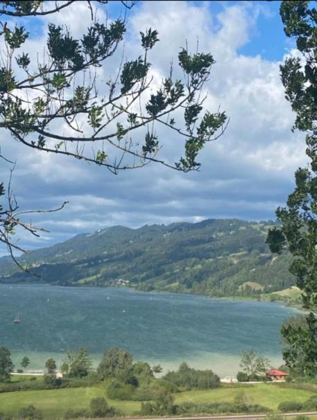 Fewo Alpenwiese Mit Hallenbad&Sauna 米森-维尔哈姆斯 外观 照片