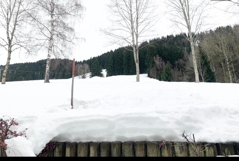 Fewo Alpenwiese Mit Hallenbad&Sauna 米森-维尔哈姆斯 外观 照片