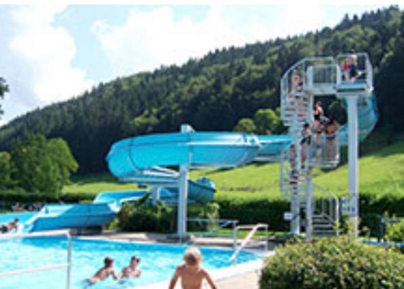Fewo Alpenwiese Mit Hallenbad&Sauna 米森-维尔哈姆斯 外观 照片