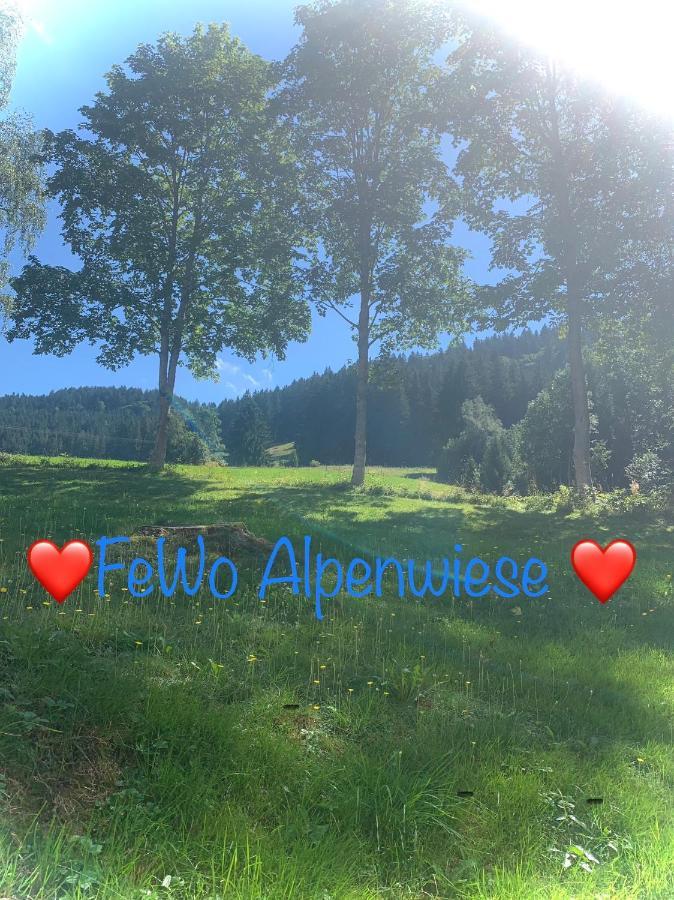 Fewo Alpenwiese Mit Hallenbad&Sauna 米森-维尔哈姆斯 外观 照片